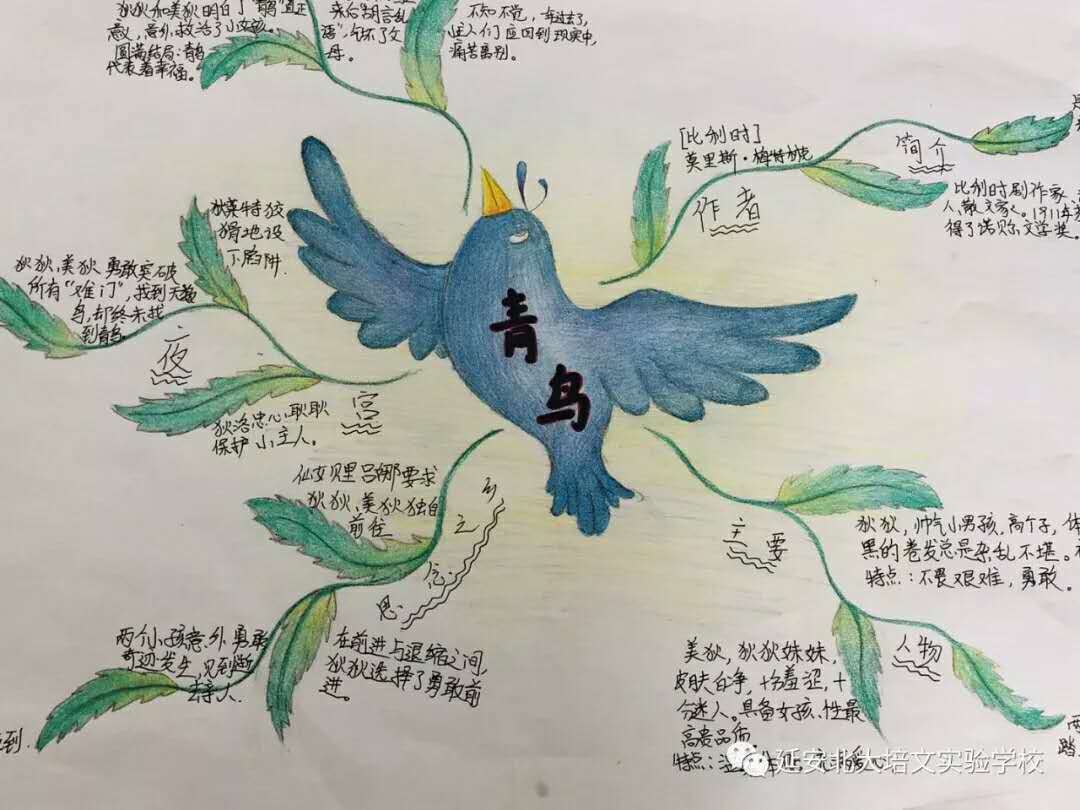1568699569129621.jpg