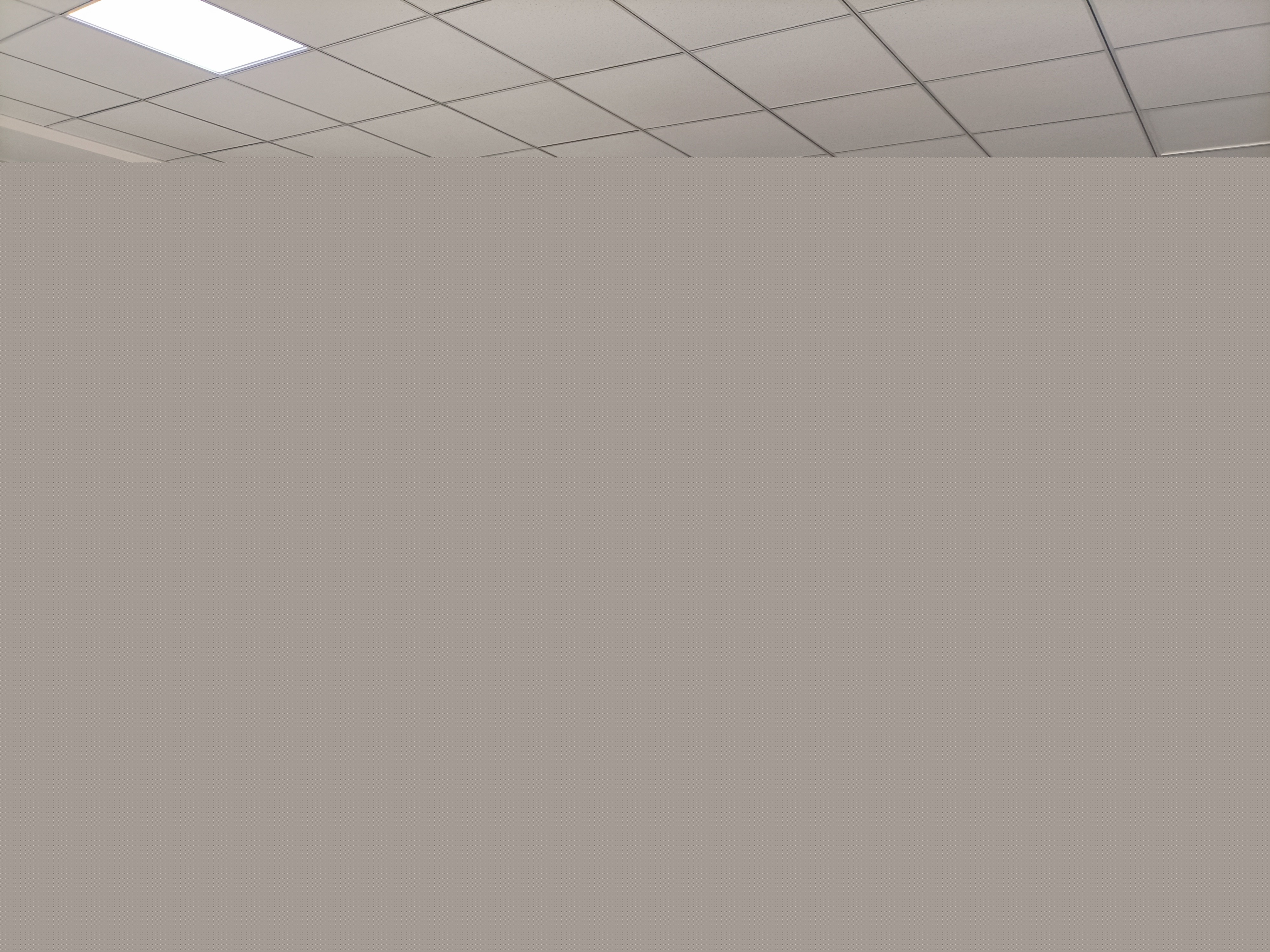 1616986172858603.jpg