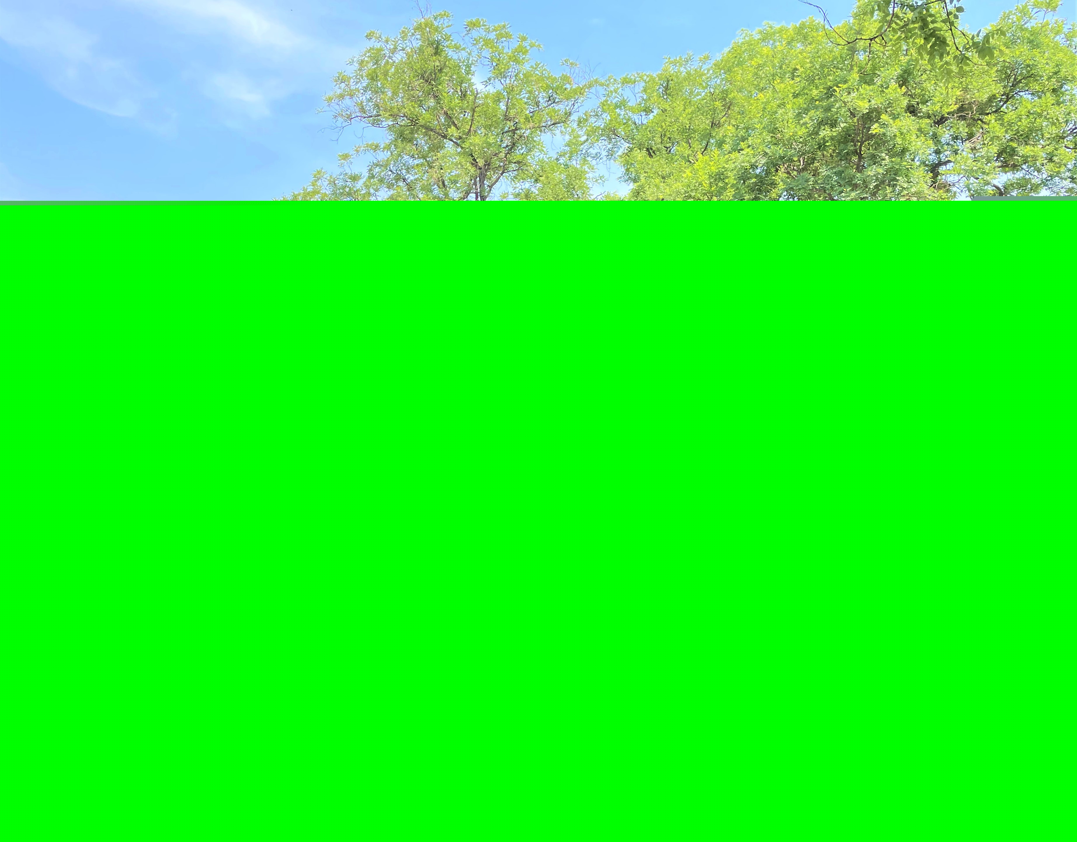 1622079116674178.jpg