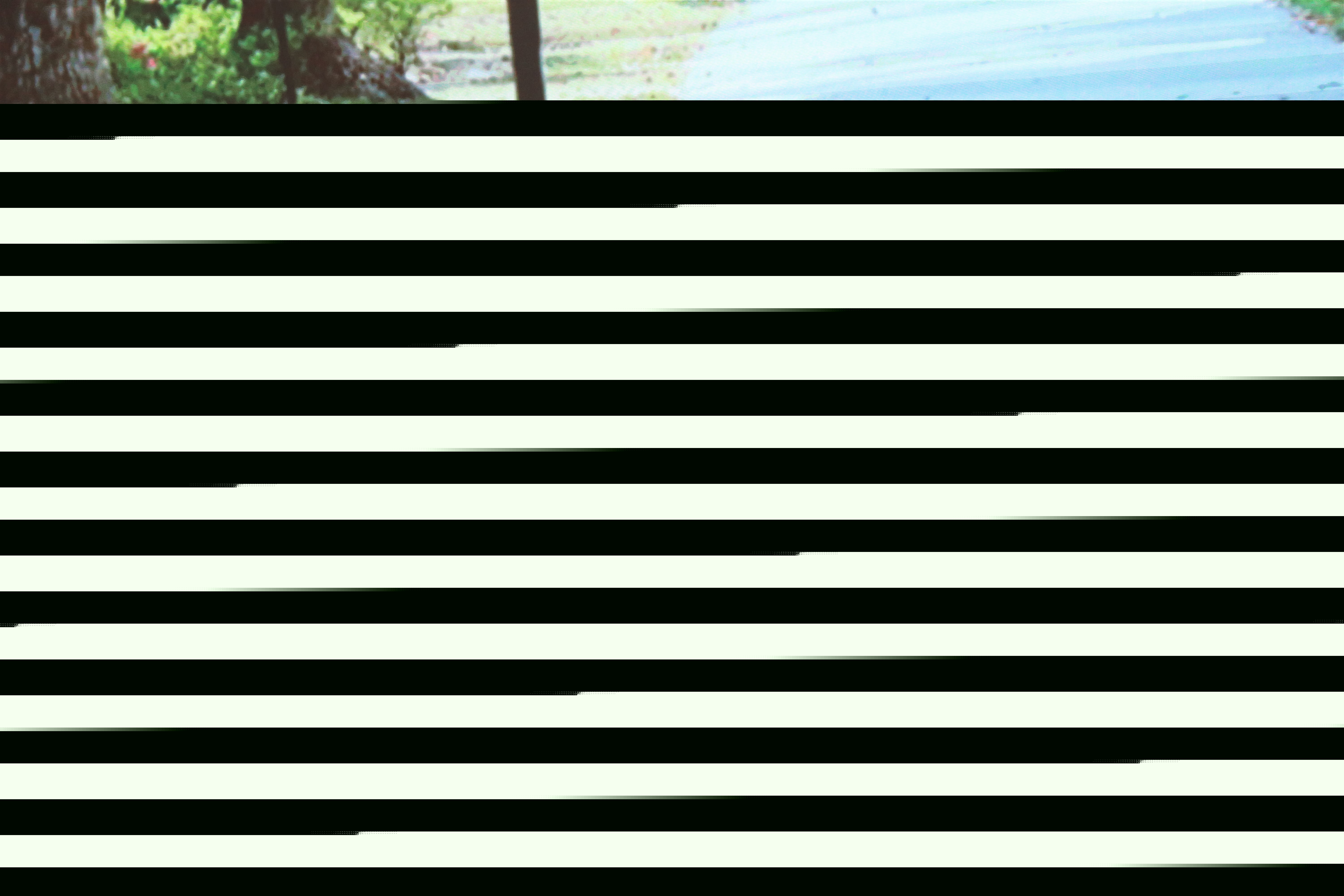 1637889535833281.jpg
