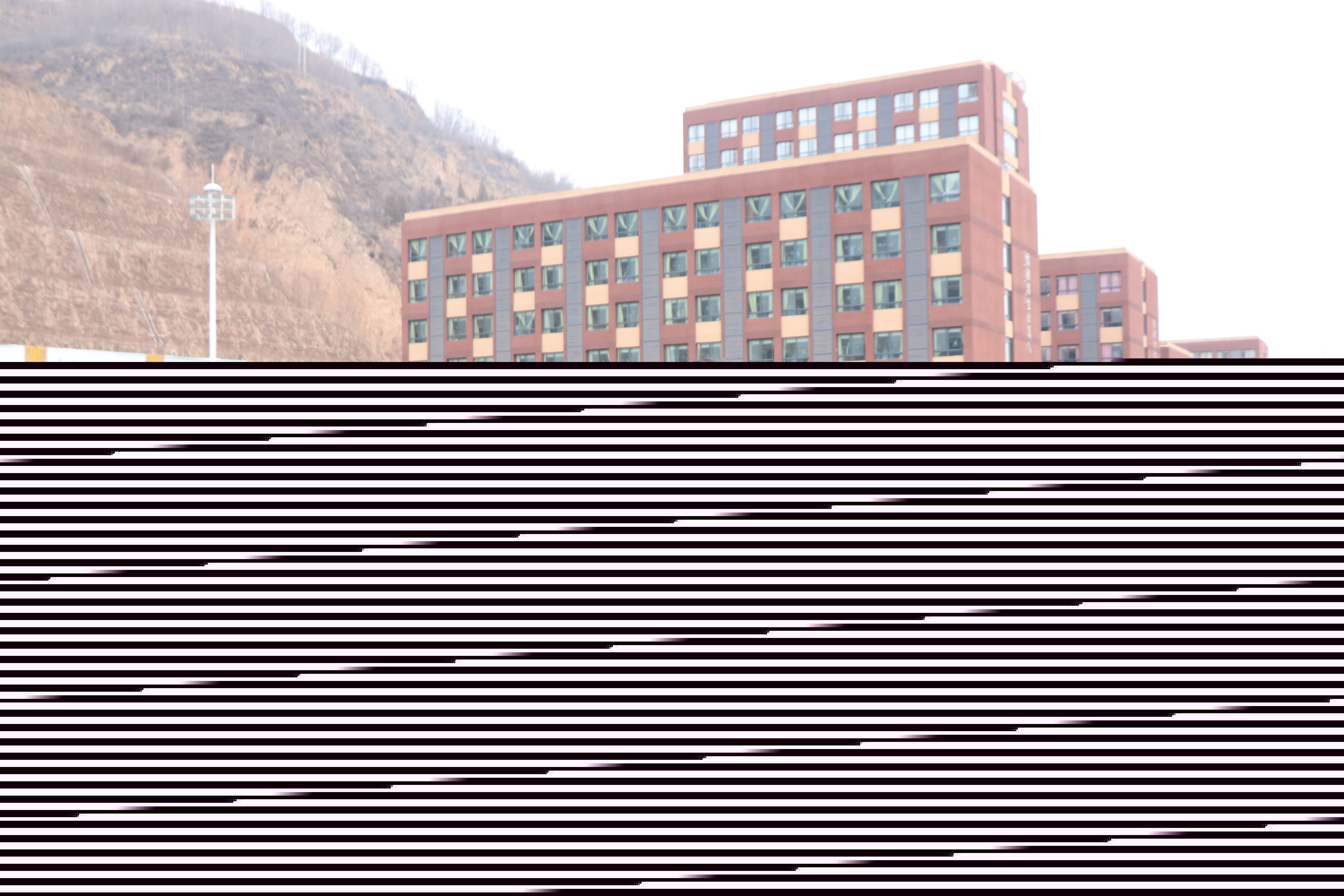 1646017798152274.jpg
