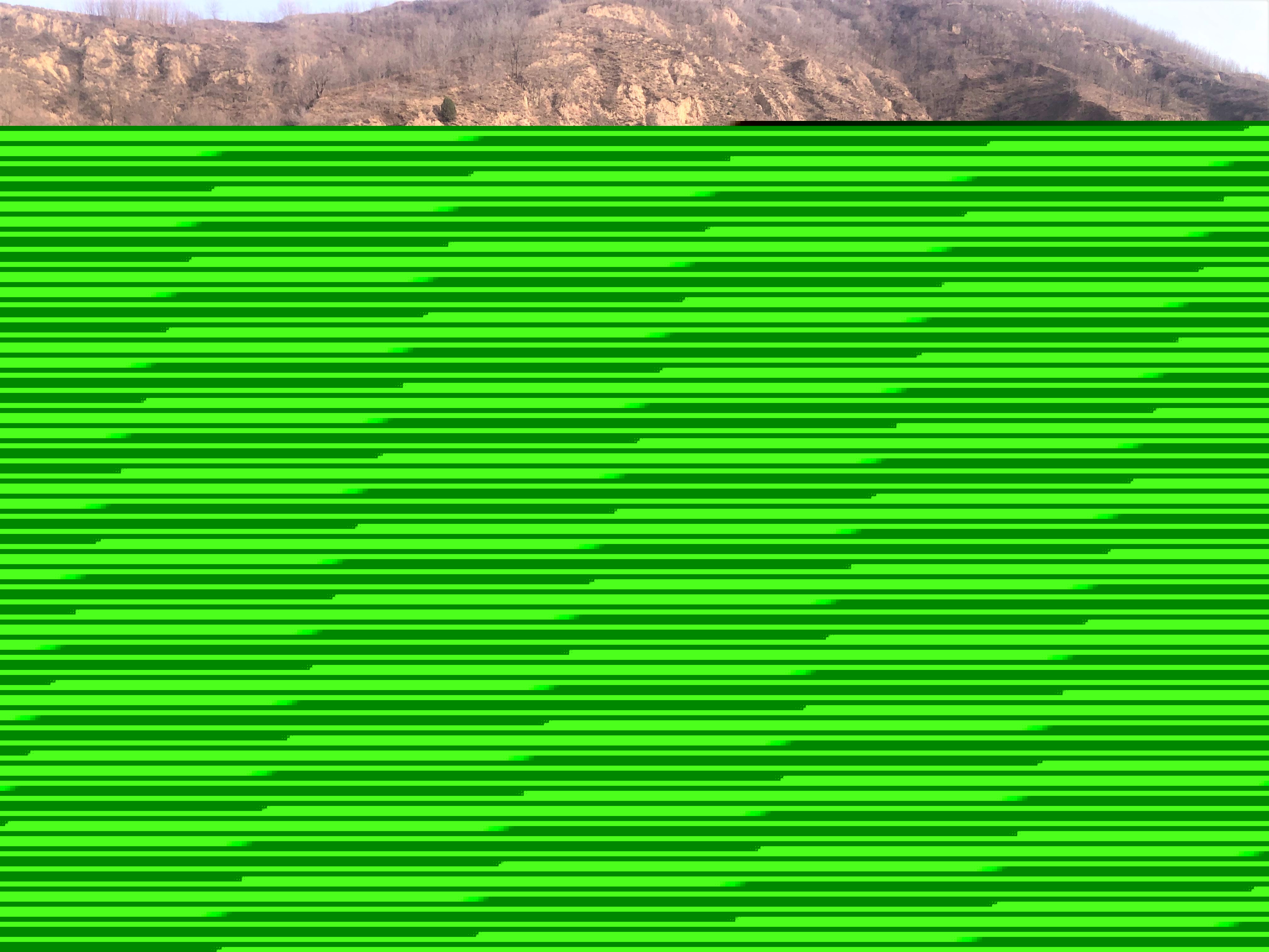 1647239356694229.jpg