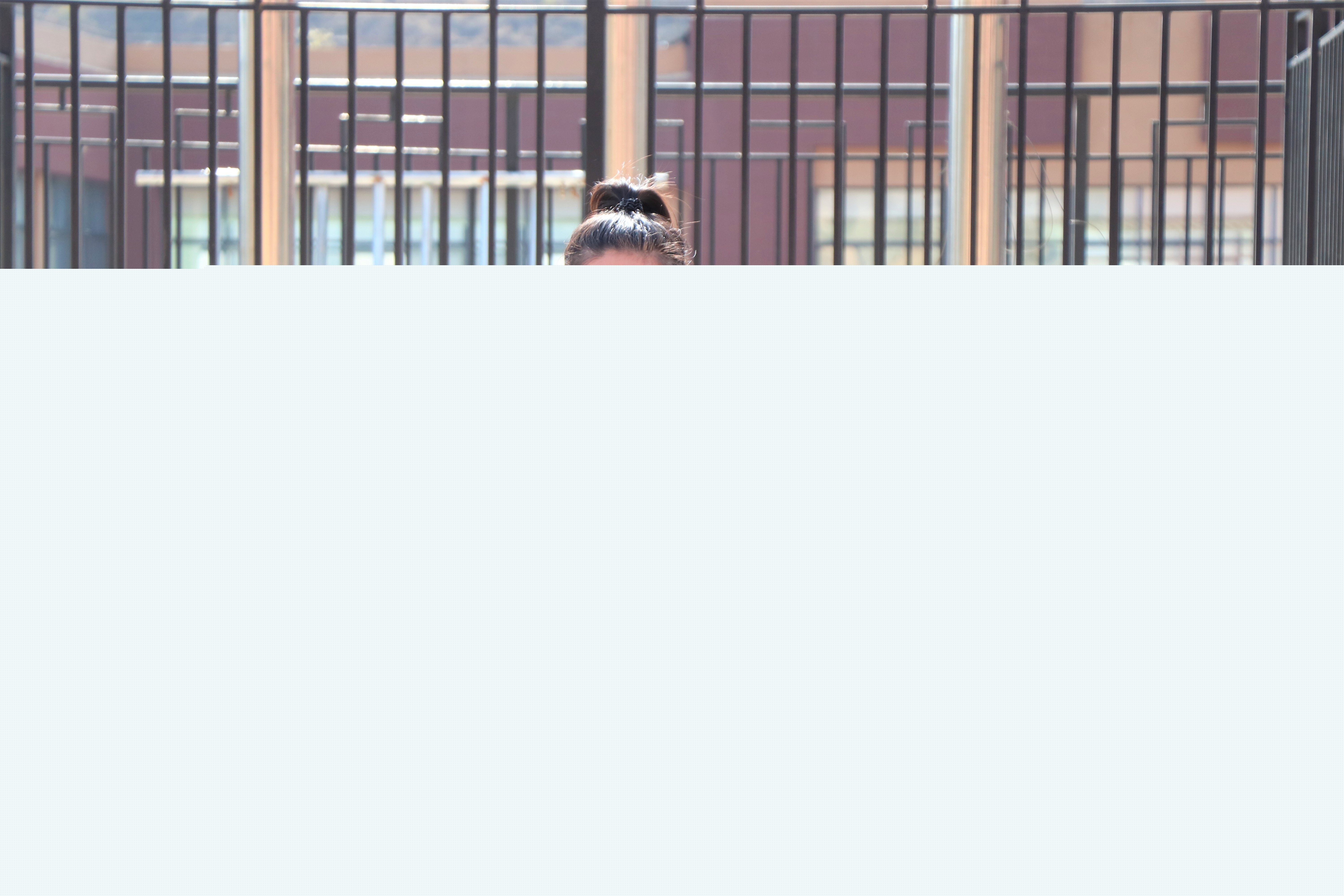 1650437318689577.jpg