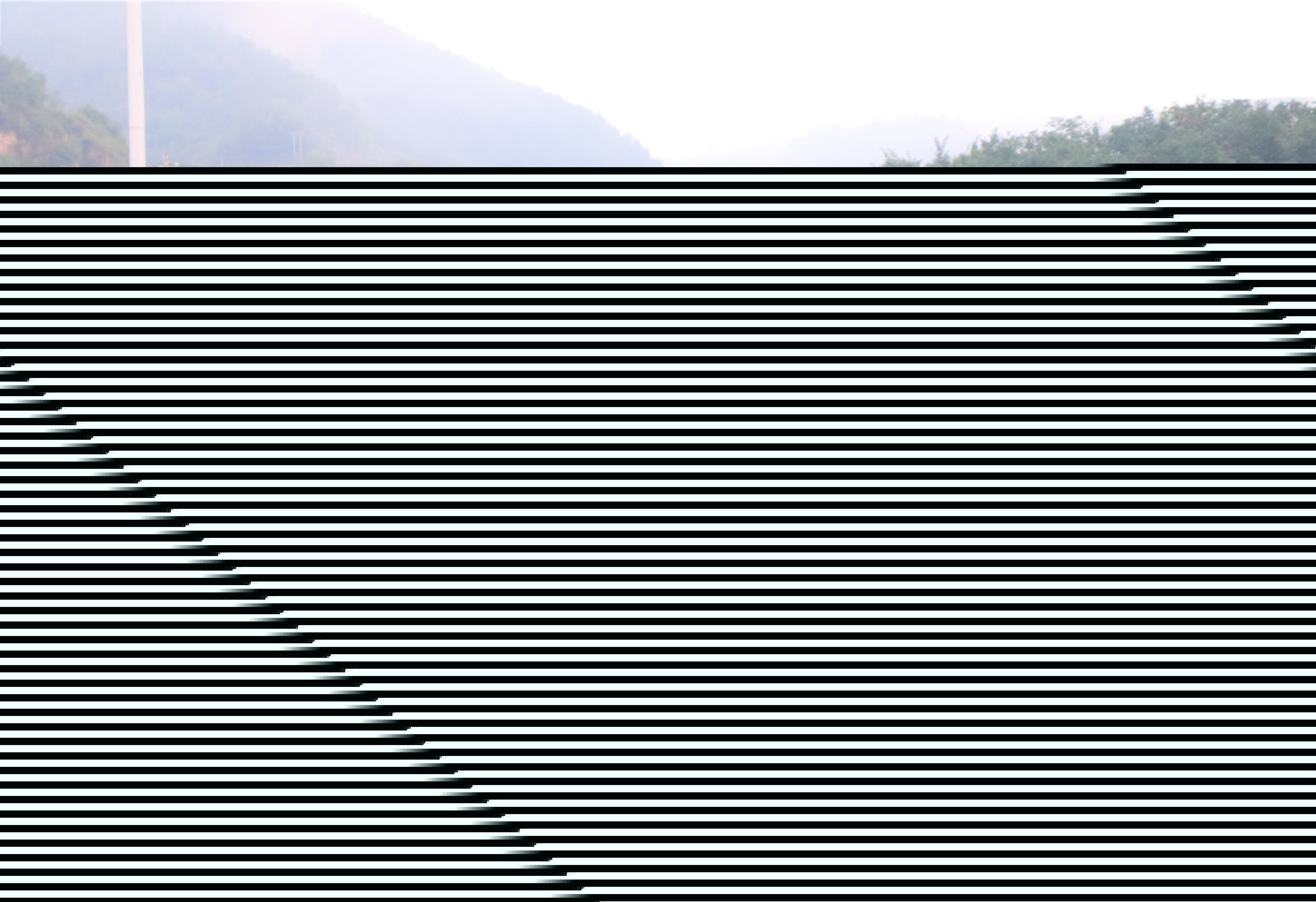 1663032339151359.jpg