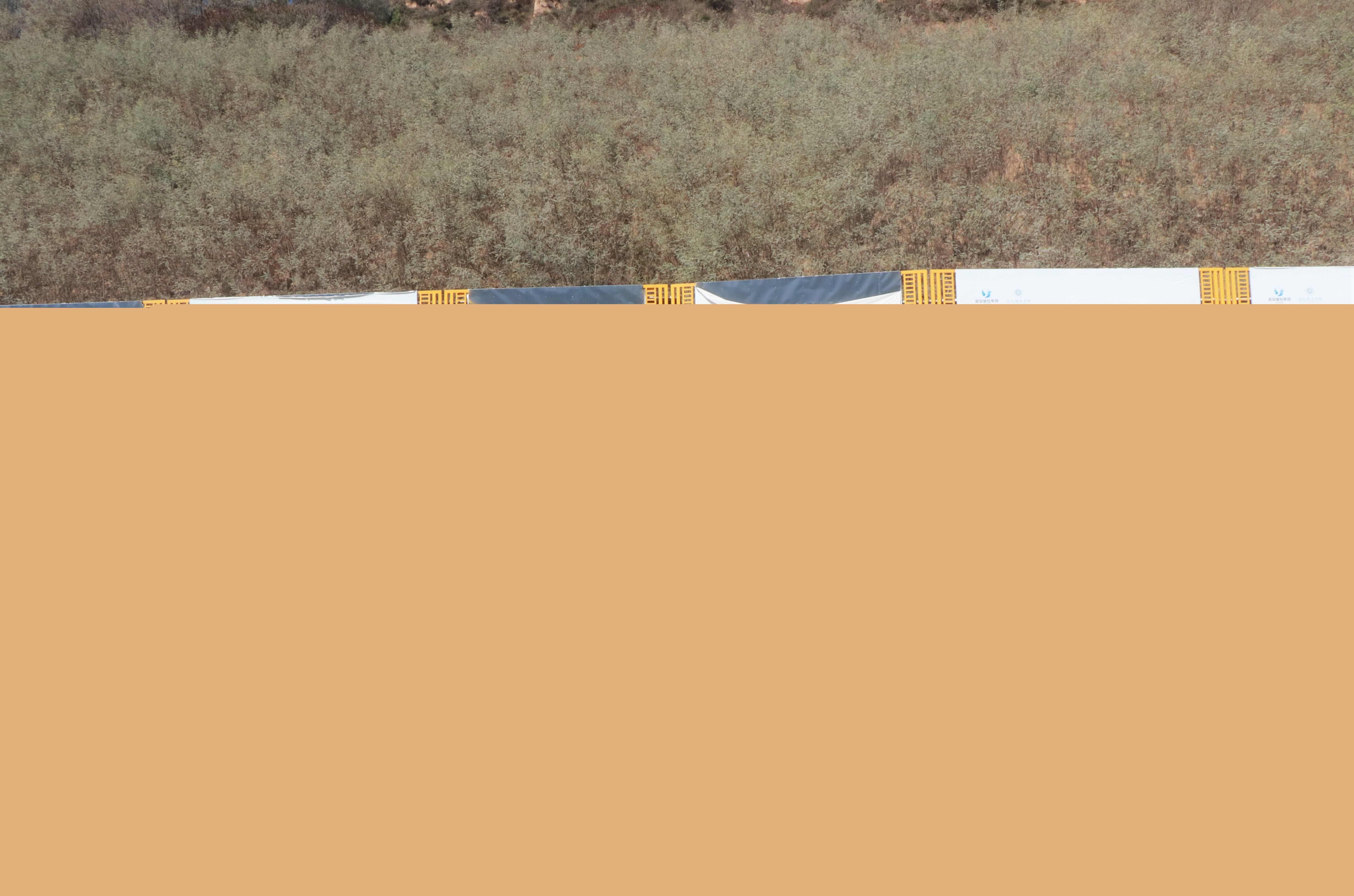 1666601368905821.jpg