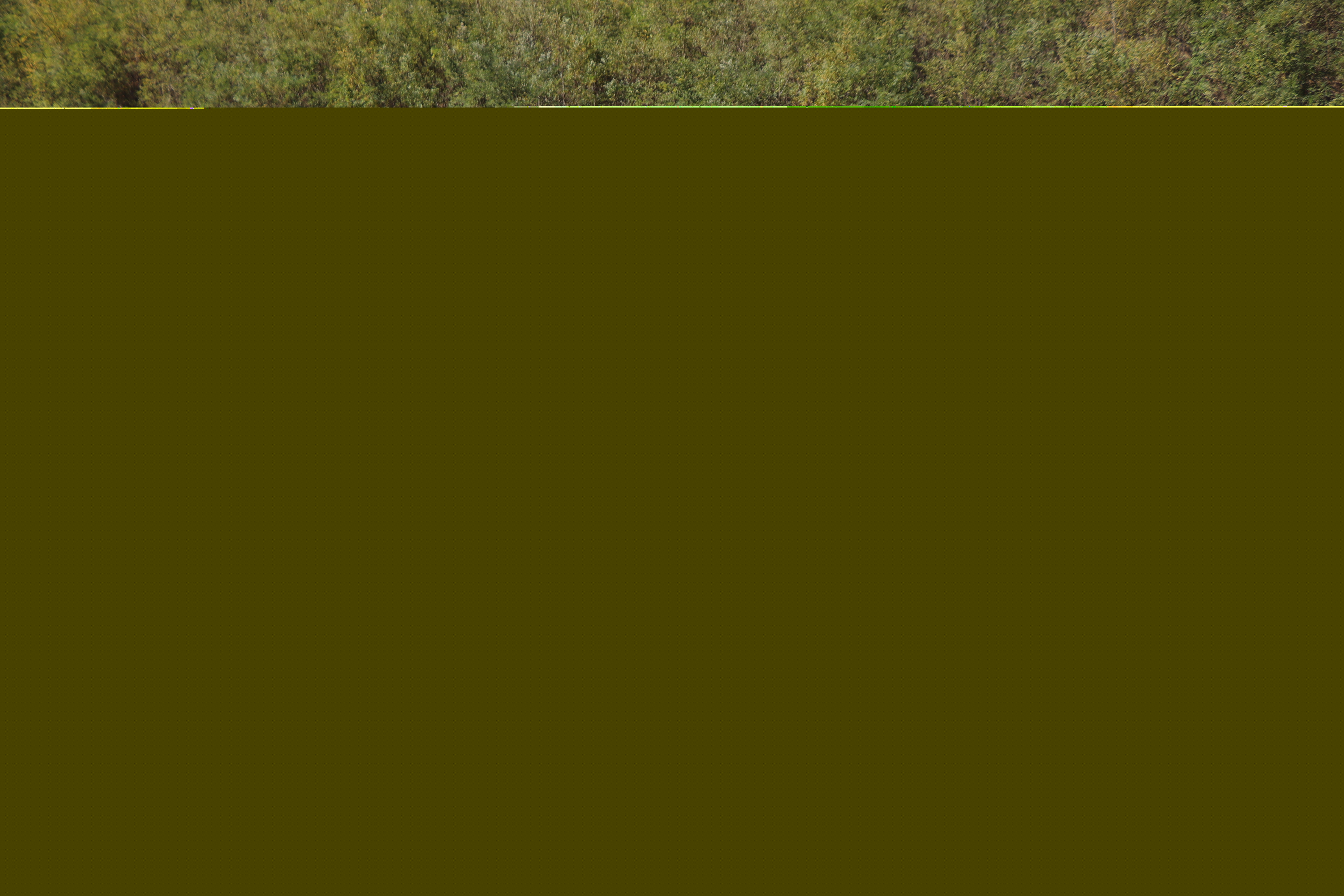 1698026698539868.jpg