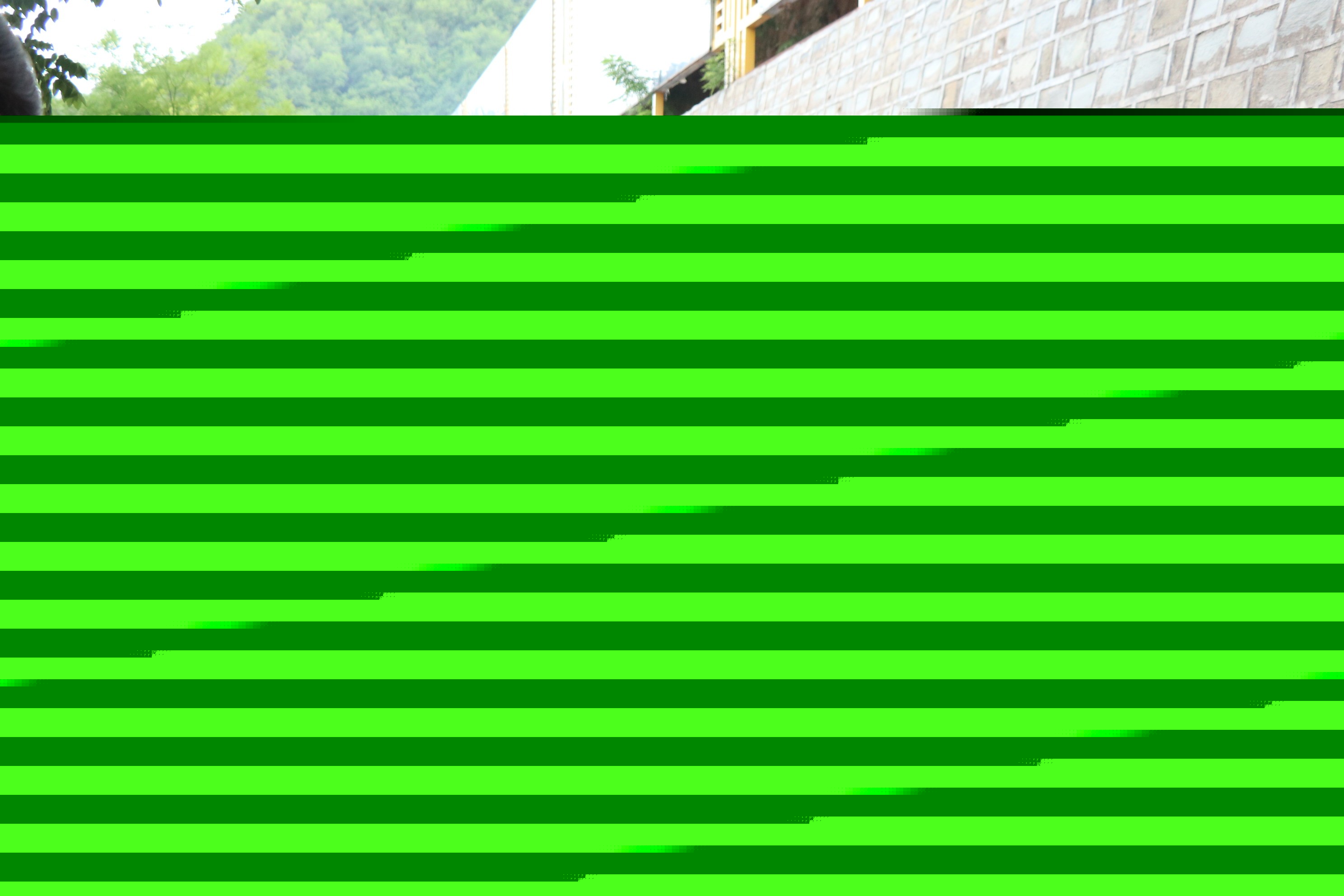 1716796621324434.jpg